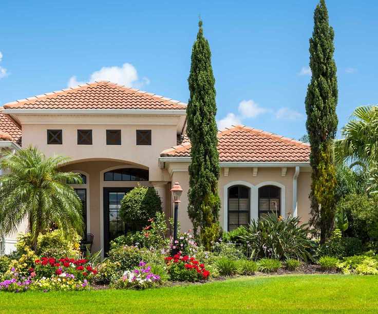 Italian cypress trees in front yard