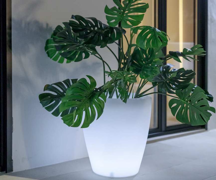 VIOLETA illuminated pot with a green monstera plant