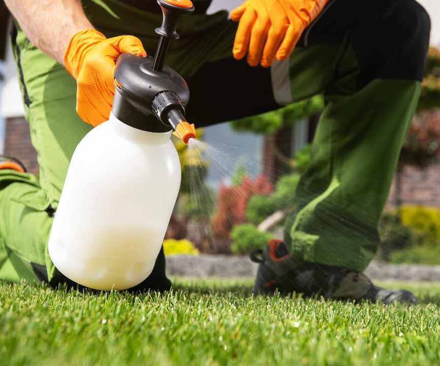 Spray bottle of weed or moss killer pointing onto grass
