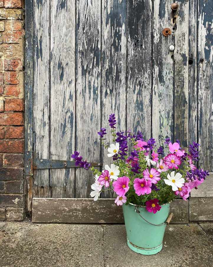 cosmos and dahlia floral display in vase