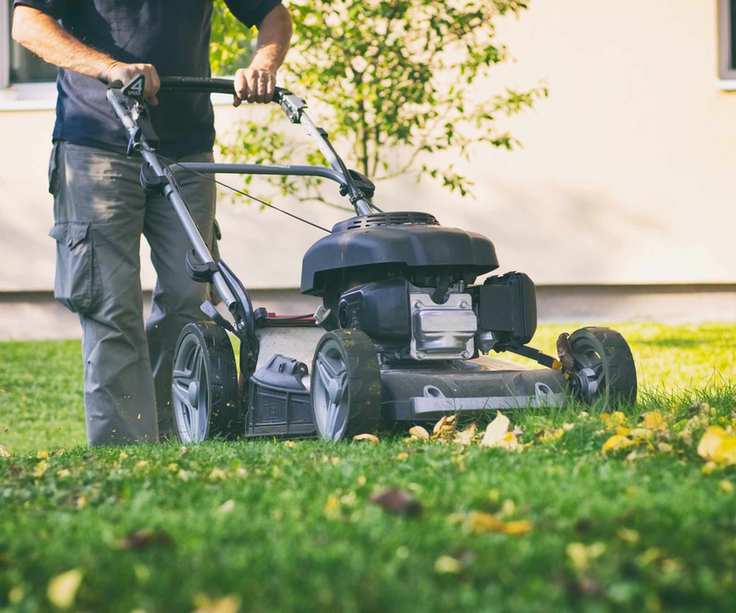 Mowing a lawn in fall