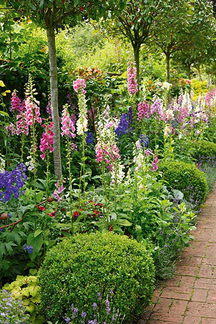 An example of south facing garden ideas showing a flower bed with pink, purple and red flowers and plants