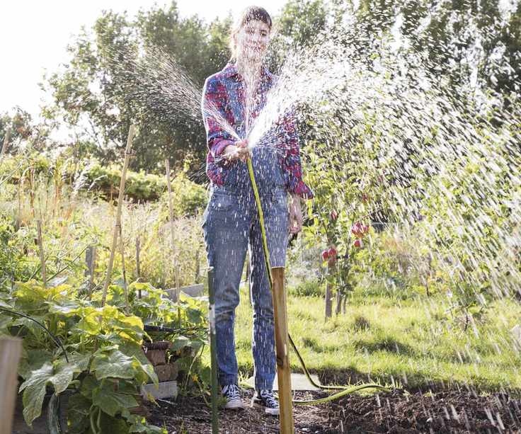Watering the backyard with a hose