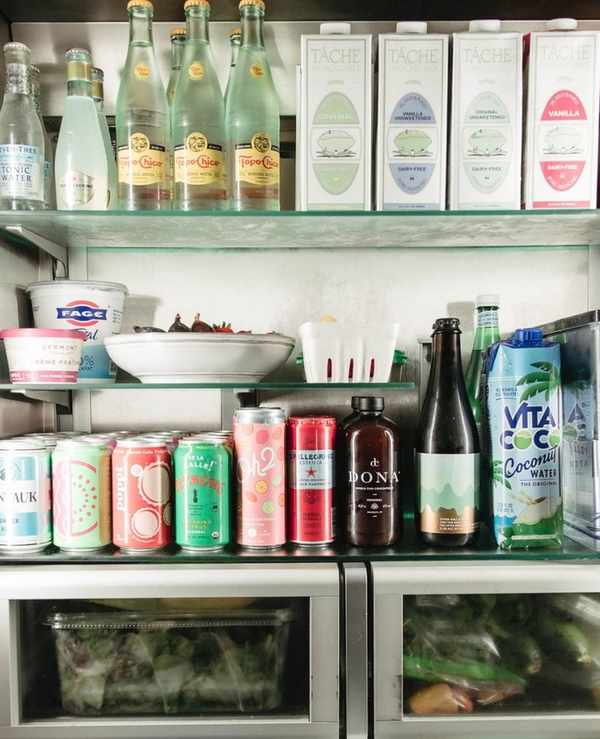 Roxana Saidi fridge_gut health and skin