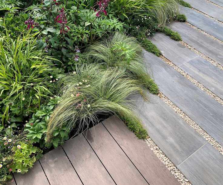 path with gravel and plants