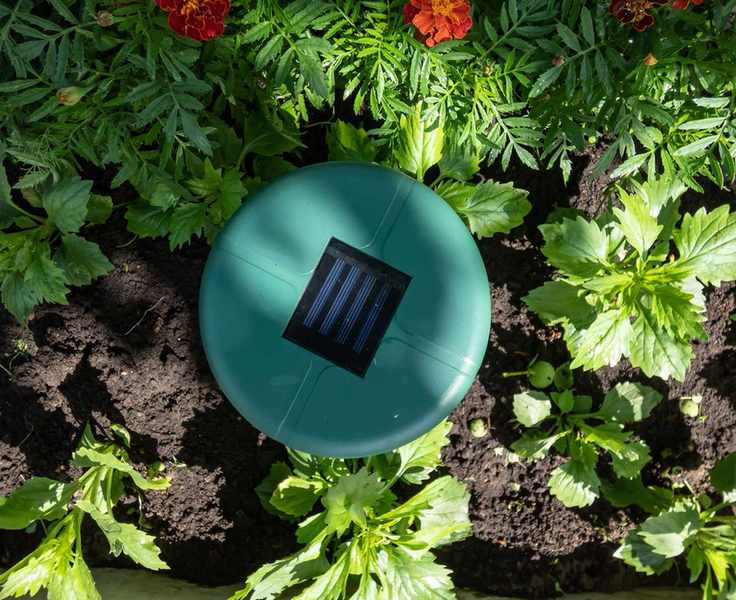 Do ultrasonic pest repellers work?