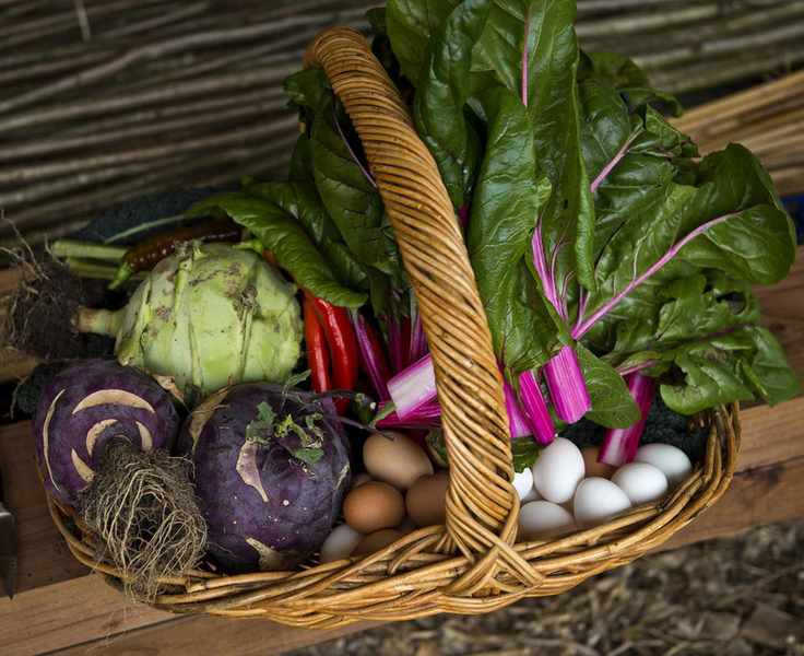 A collection of home-grown vegetables and eggs in a basket