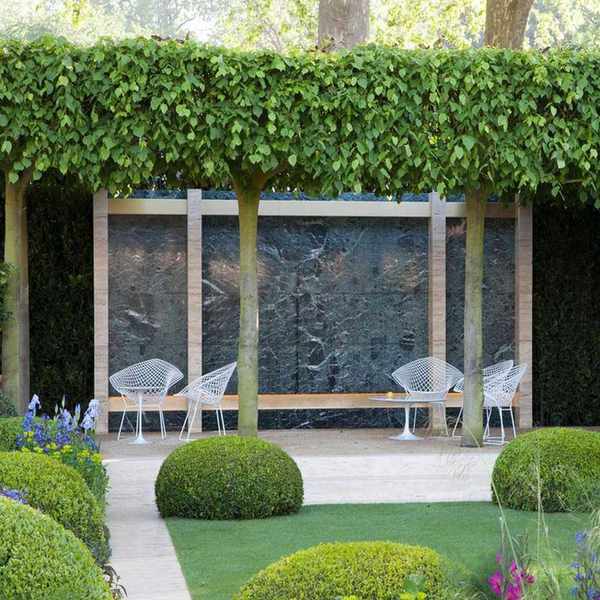 garden with pleached limes