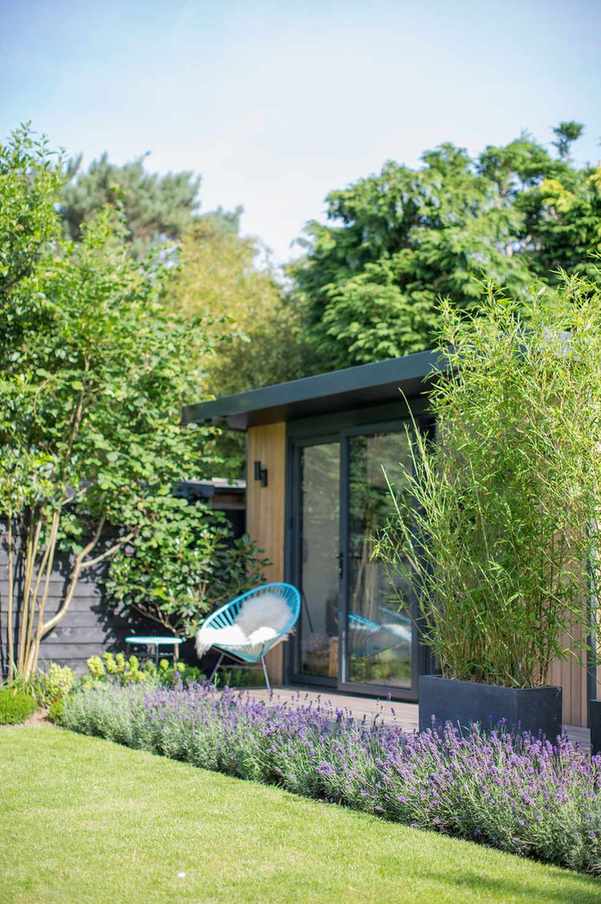 bamboo used for screening outside a garden room