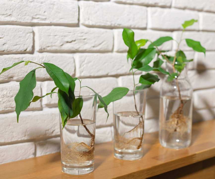 Water propagation