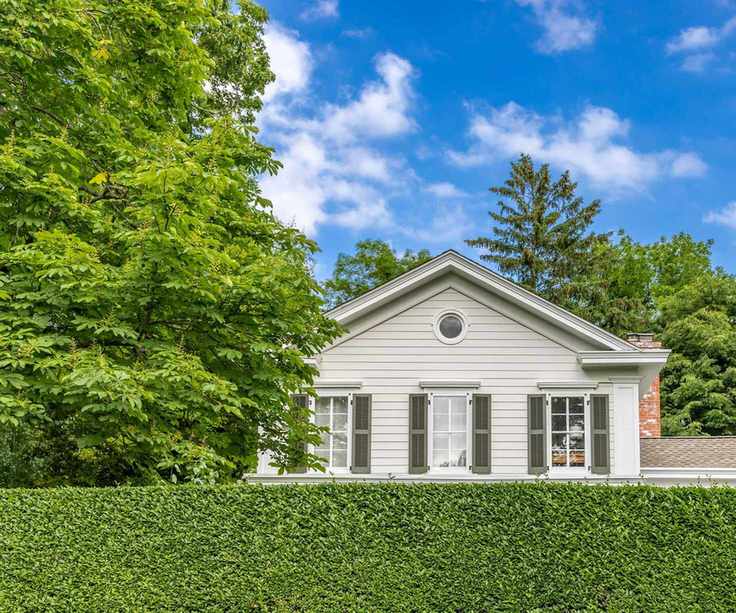 privet hedge in front of house
