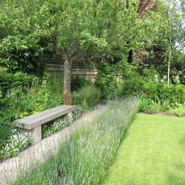 Garden ideas