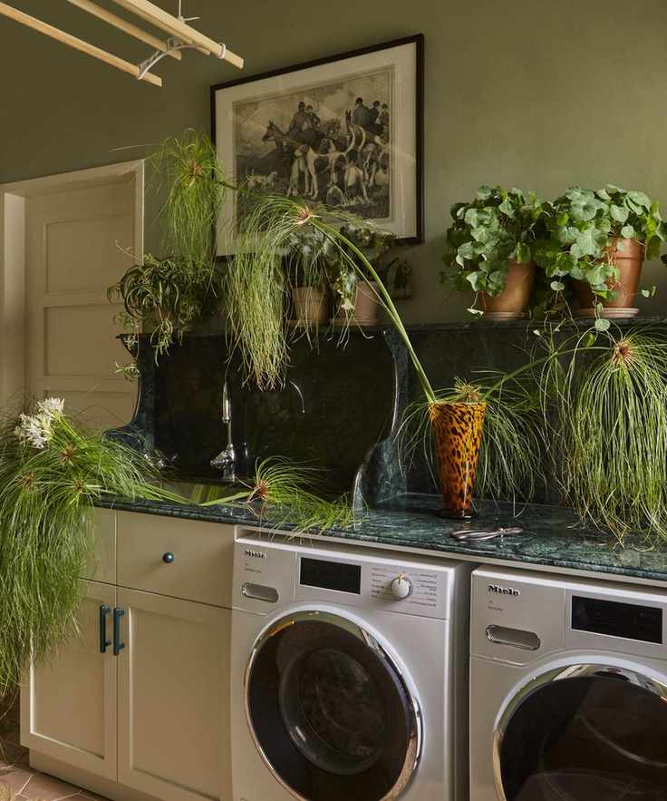 Green room, wooden drying rack, green countertop