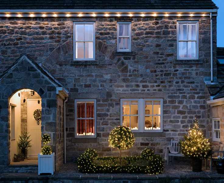 Christmas lights in trees and hedges