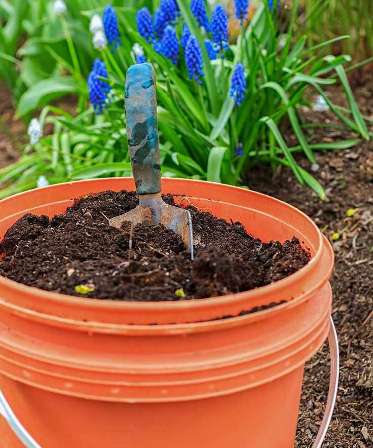 pot of garden compost