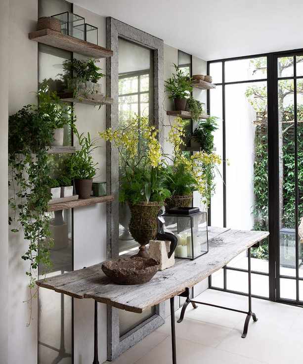 Monty Dons house plant watering tip