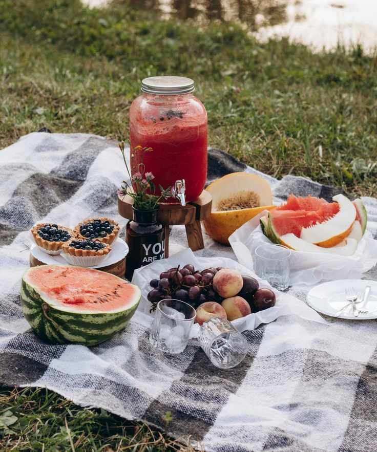 Black and white gingham picnic blanket with fruit, tarts and a mason jar full of juice