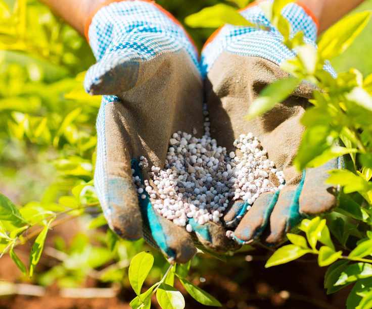 Feeding plants with a granular fertilizer