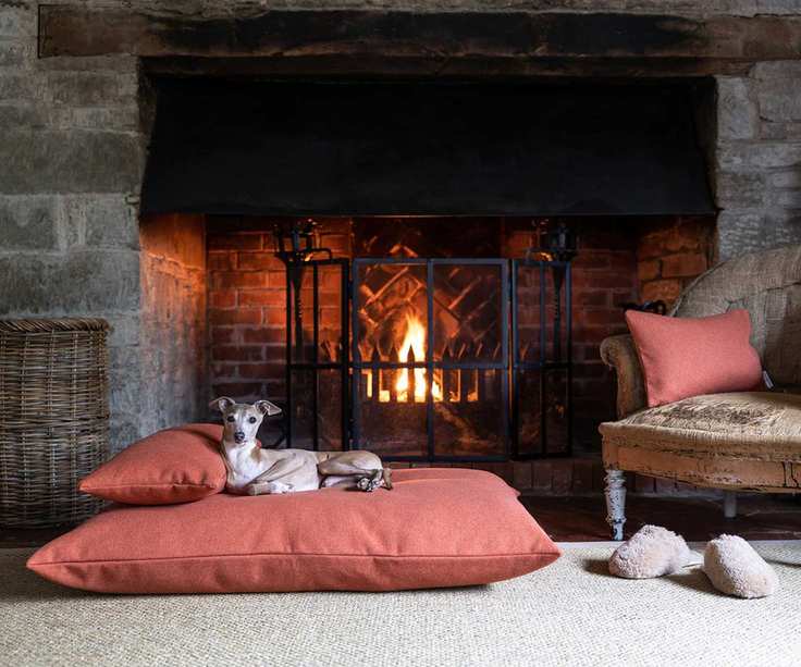red dog bed in front of open fire with Italian greyhound