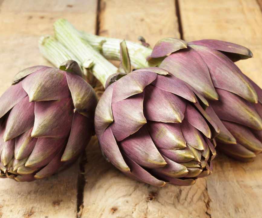 Three purple, ripe artichokes on a table