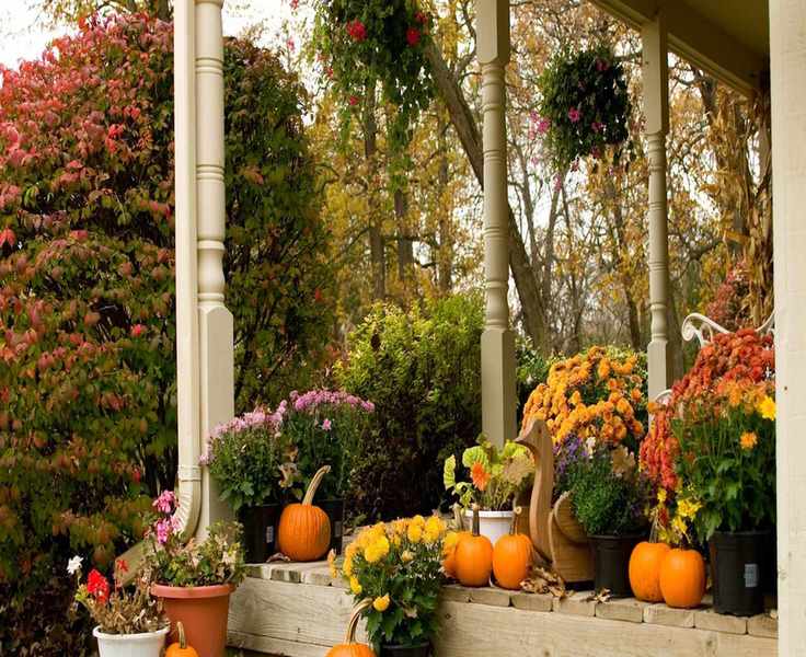 5 Ways to Refresh Your Summer Hanging Baskets for Fall