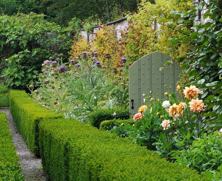 Green painted studded wooden garden gate among flower border and next to low hedging