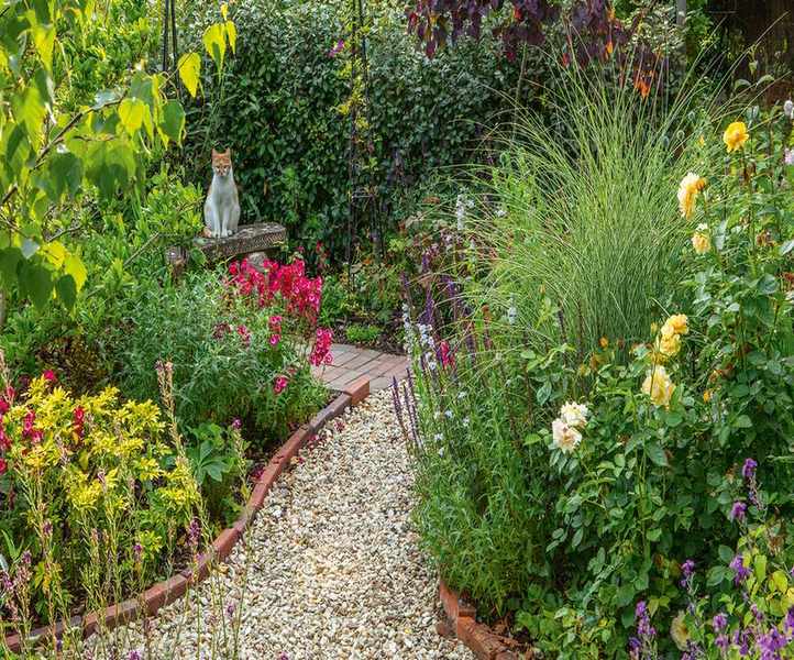 Cottage backyard ideas