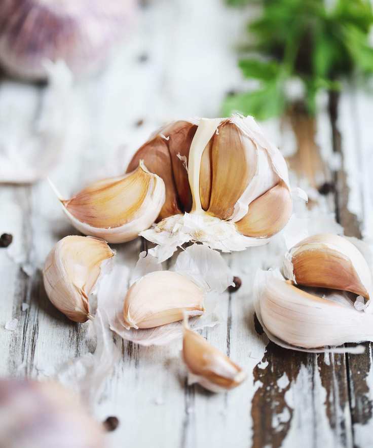 Red Inchelium garlic cloves