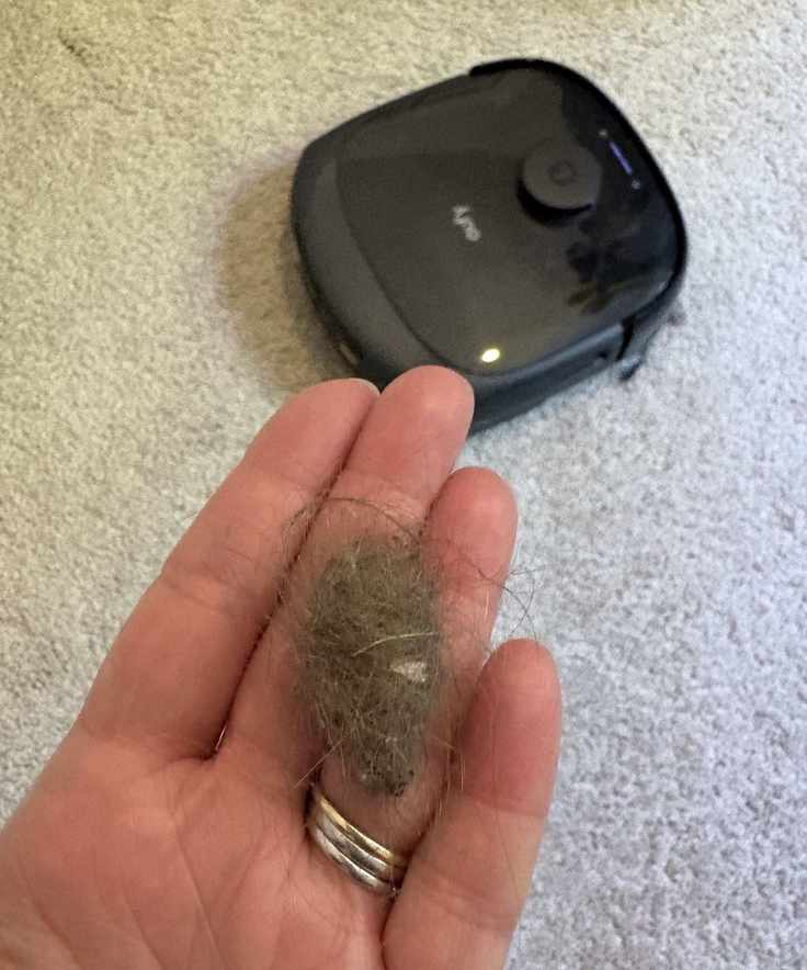 hair ball in palm of a hand with eufy Omni E25 vacuum in the background