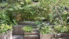RHS Chelsea 2024 shady container garden