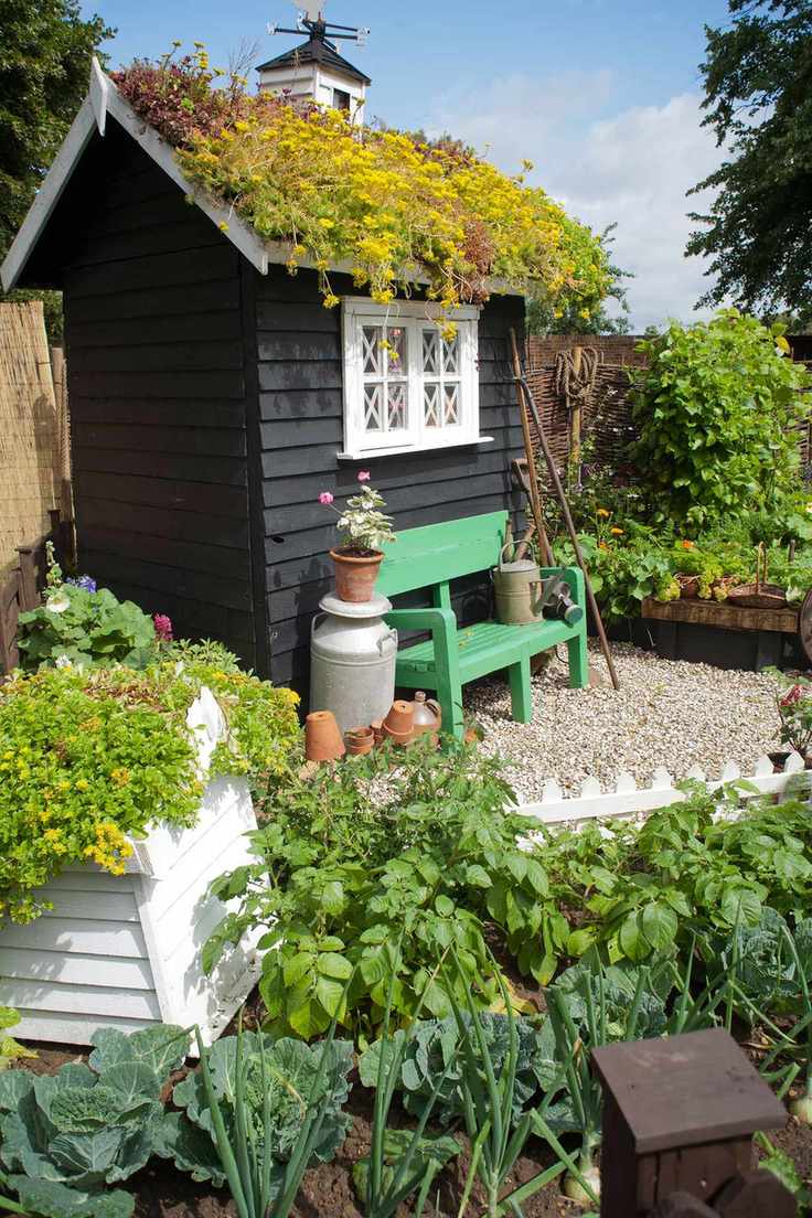colorful allotment garden with living roof