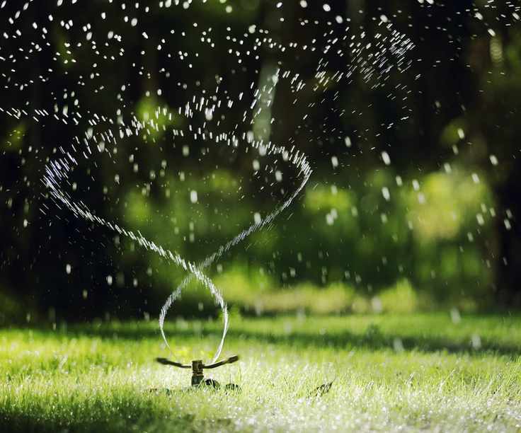 Water lawn