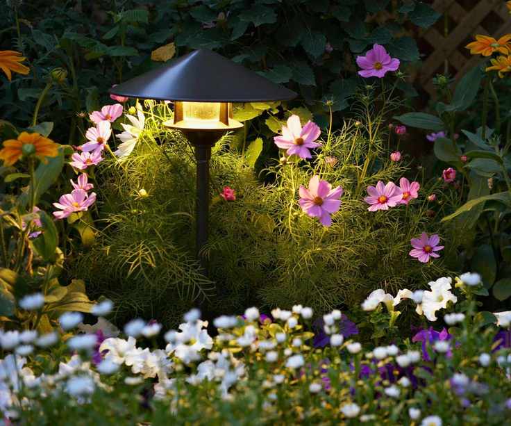 Solar lights illuminating flowers