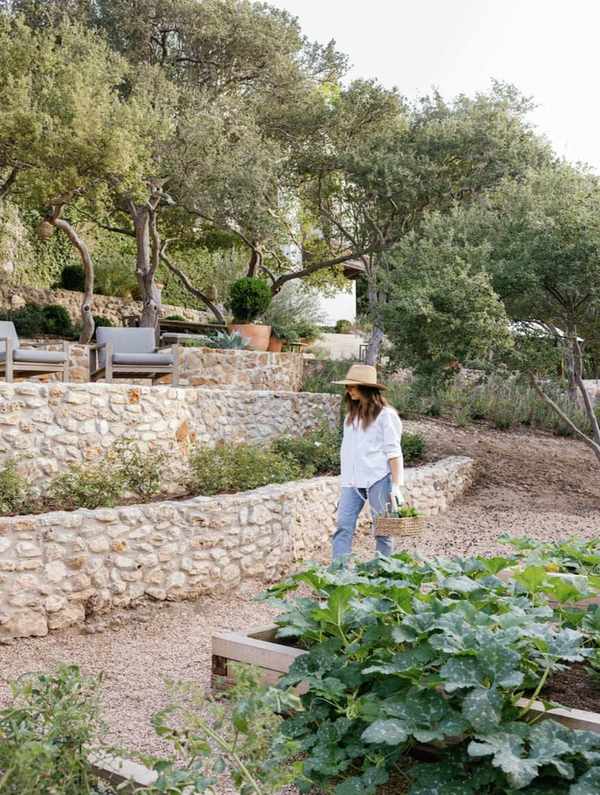 backyard garden transformation - vegetable harvest