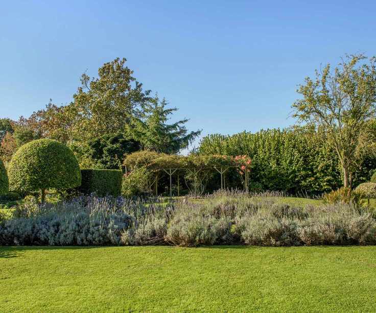 Garden area with a pergola, lawn and flowerbeds and mature shrubs and trees.