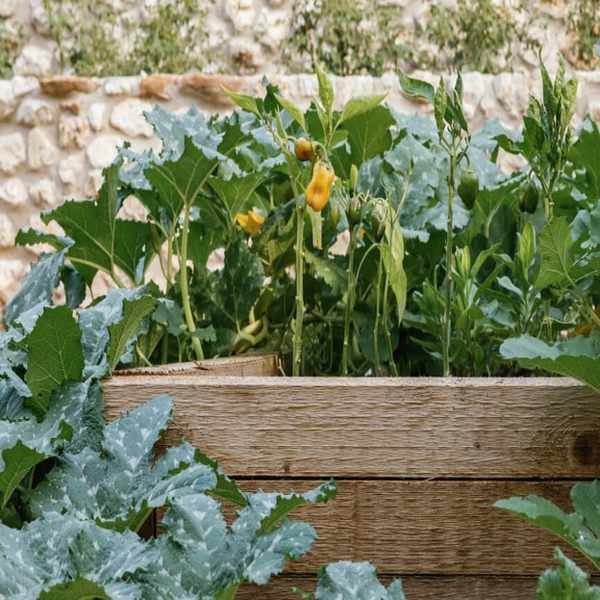 backyard garden transformation - flower planting