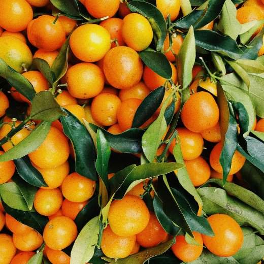 Vitamin C-rich citrus fruits supporting hyaluronic acid production