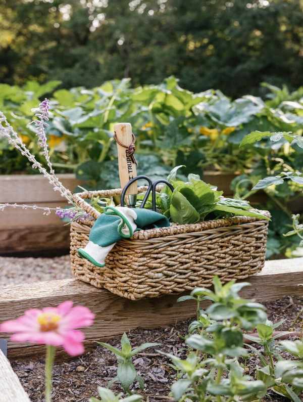 backyard garden transformation - planting process