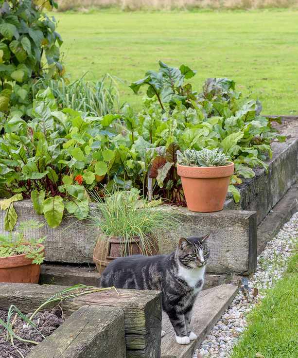 planting mistakes