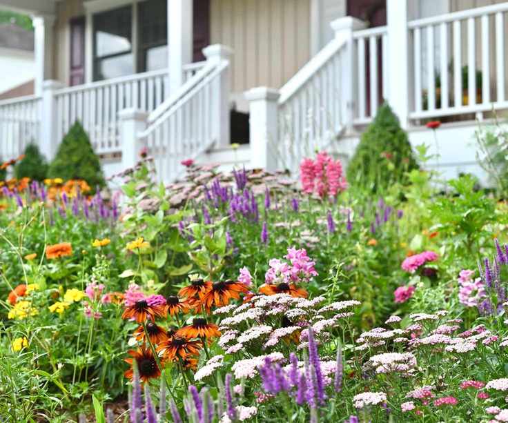 mosaic planting in flowerbeds with helenium, salvia, achillea and evergreen topiary