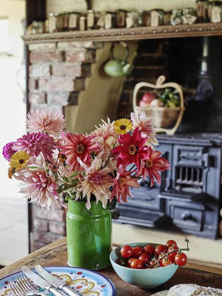 Dahlia garden