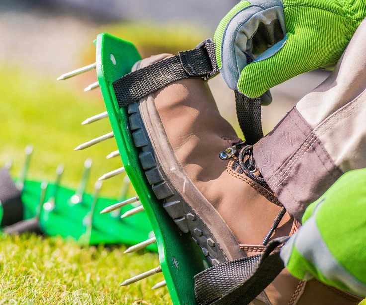 aerator shoes