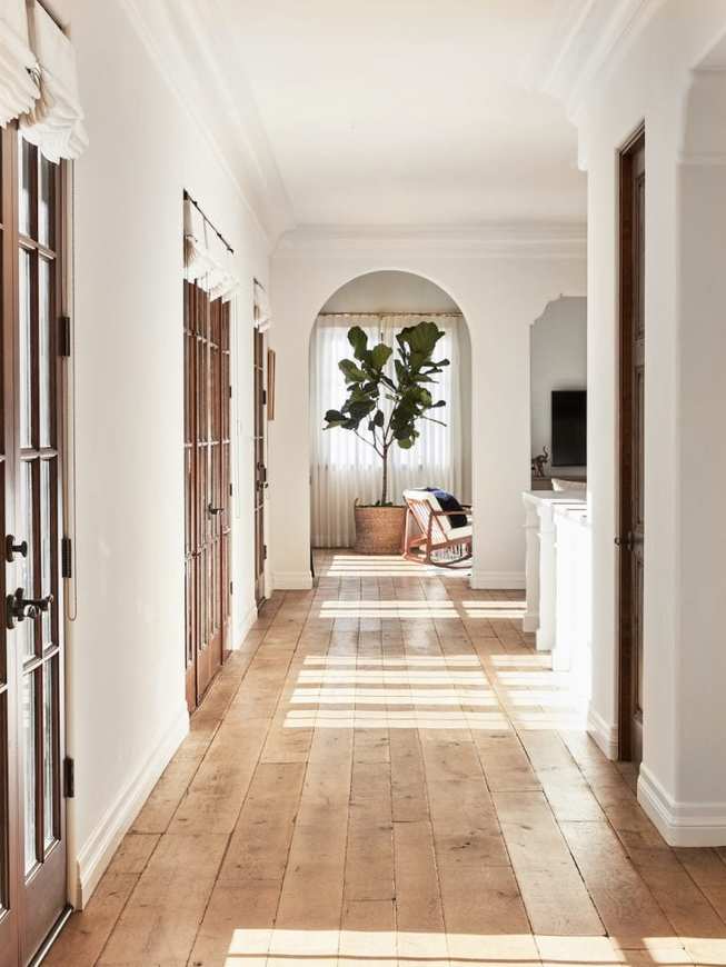 Indoor plant trends 2022