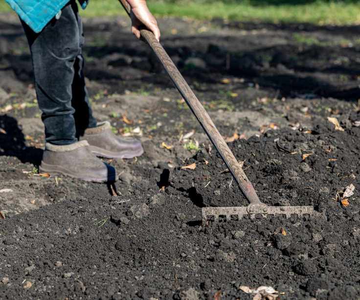 Soil being raked level after being added to garden beds