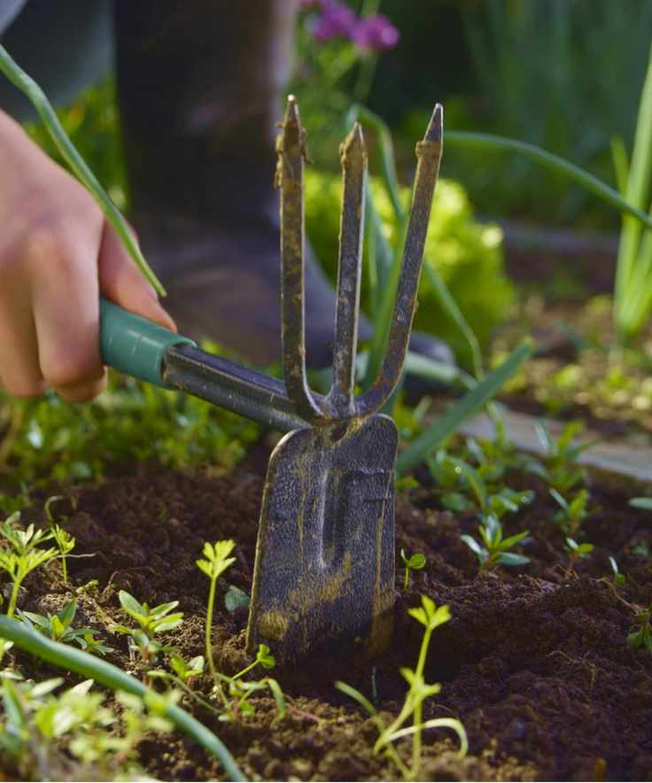 Garden weeder