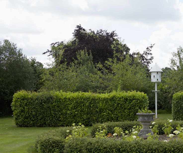 Hedge with perennial planting and a white bird house