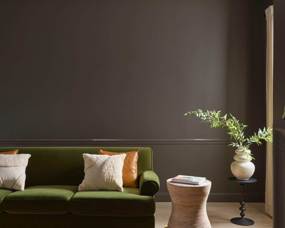 living room with dark brown wall, green sofa with neutral cushions and plant on table