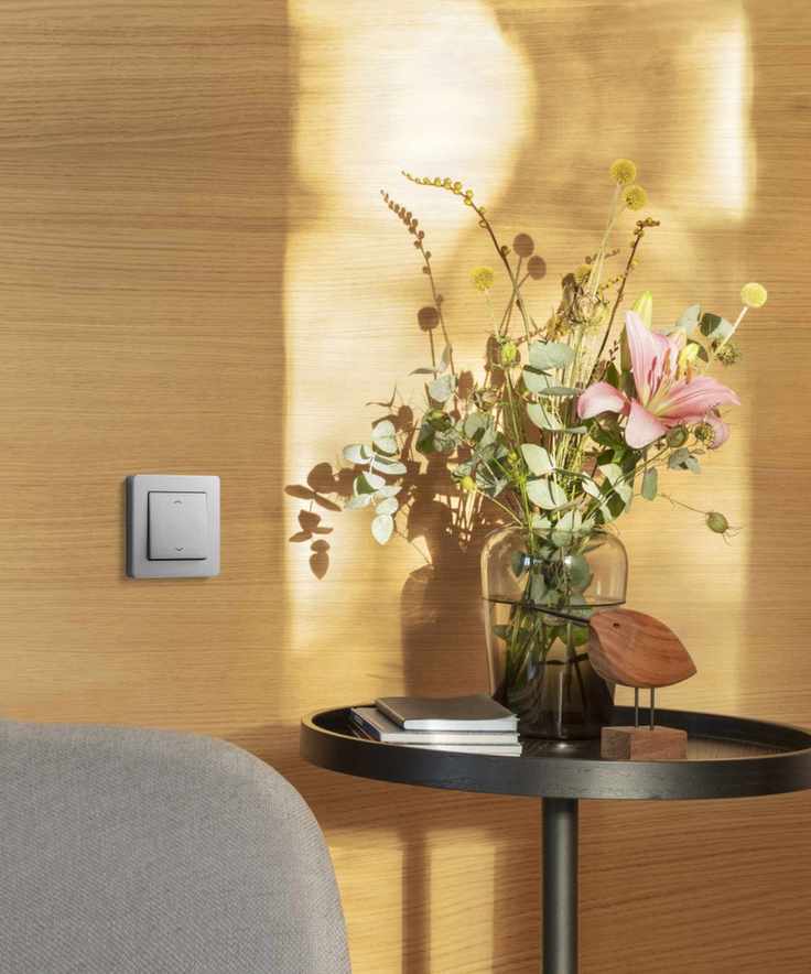 Light Switch
