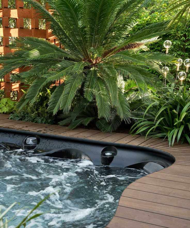 outdoor pool with tropical plants