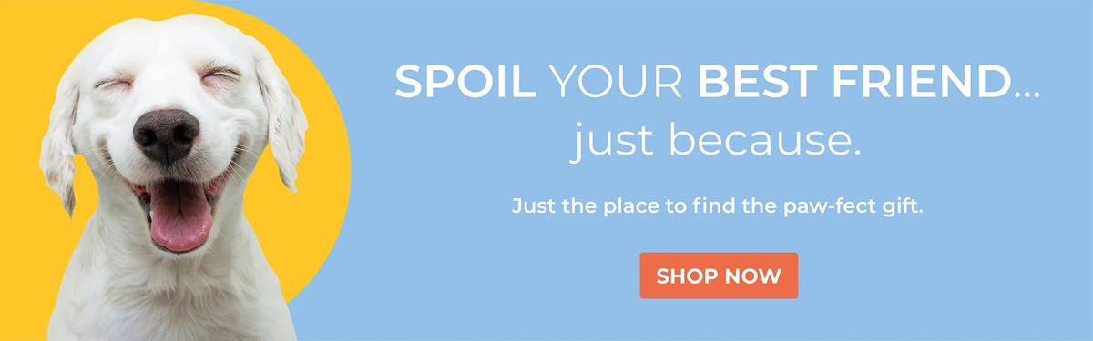 Pet Products' New Wave: Brands to Know This Year